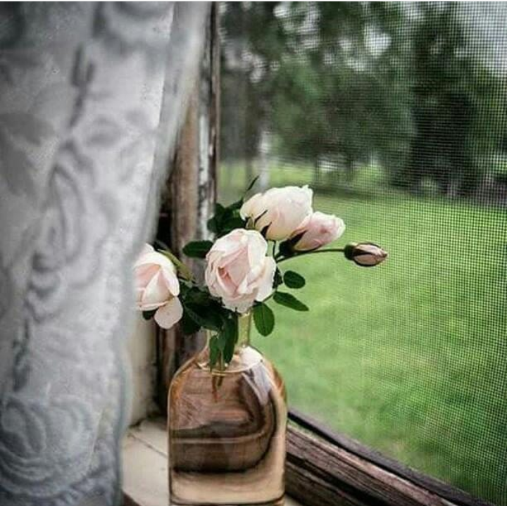 ���� ���� ������ �� ���� ������