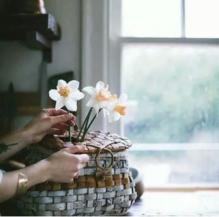 ���� ���� ������ �� ���� ������