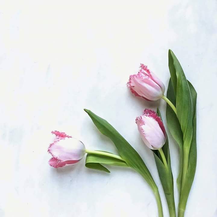 ���� ���� ������ �� ���� ������