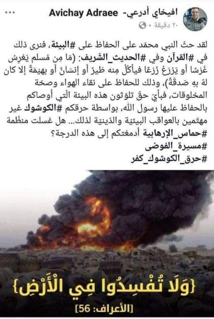 ���� ���� ������ �� ���� ������