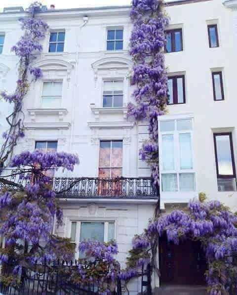 ���� ���� ������ �� ���� ������