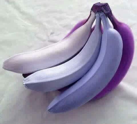 ���� ���� ������ �� ���� ������