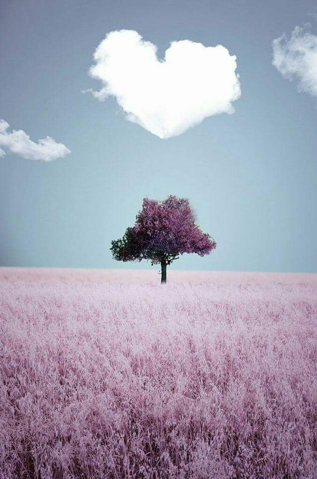 ���� ���� ������ �� ���� ������