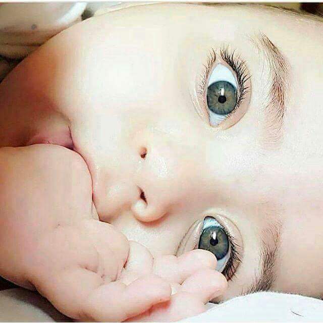 ���� ���� ������ �� ���� ������