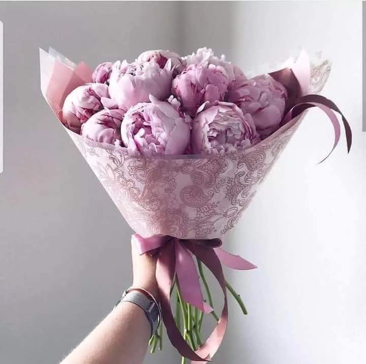 ���� ���� ������ �� ���� ������