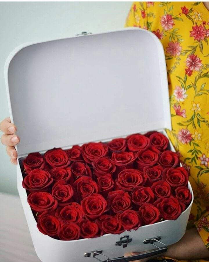 ���� ���� ������ �� ���� ������