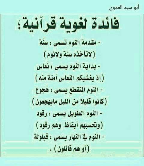 ���� ���� ������ �� ���� ������