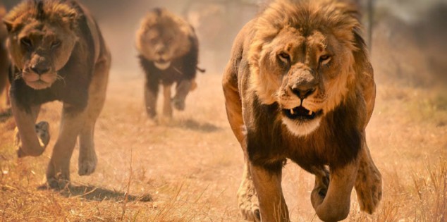 ���� ���� ������ �� ���� ������