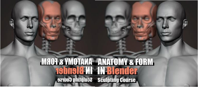 gumroad-anatomy-and-form-in-blender-sculpting-course