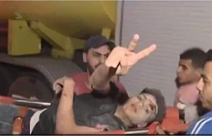 238774715.jpg
