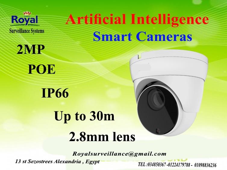 اجدد كاميرات مراقبة داخلية الذكية2 MP  241251549