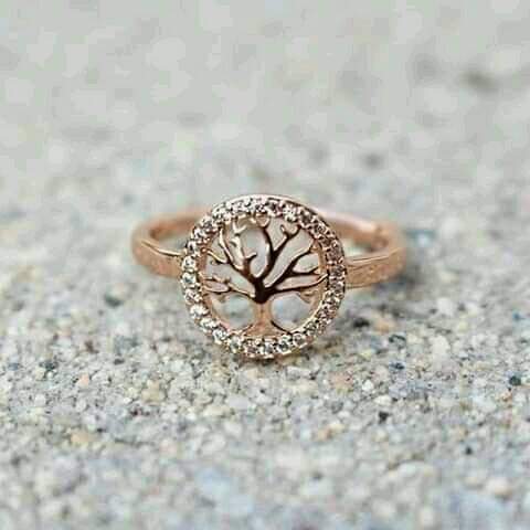 ���� ���� ������ �� ���� ������