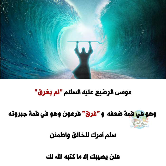 ���� ���� ������ �� ���� ������