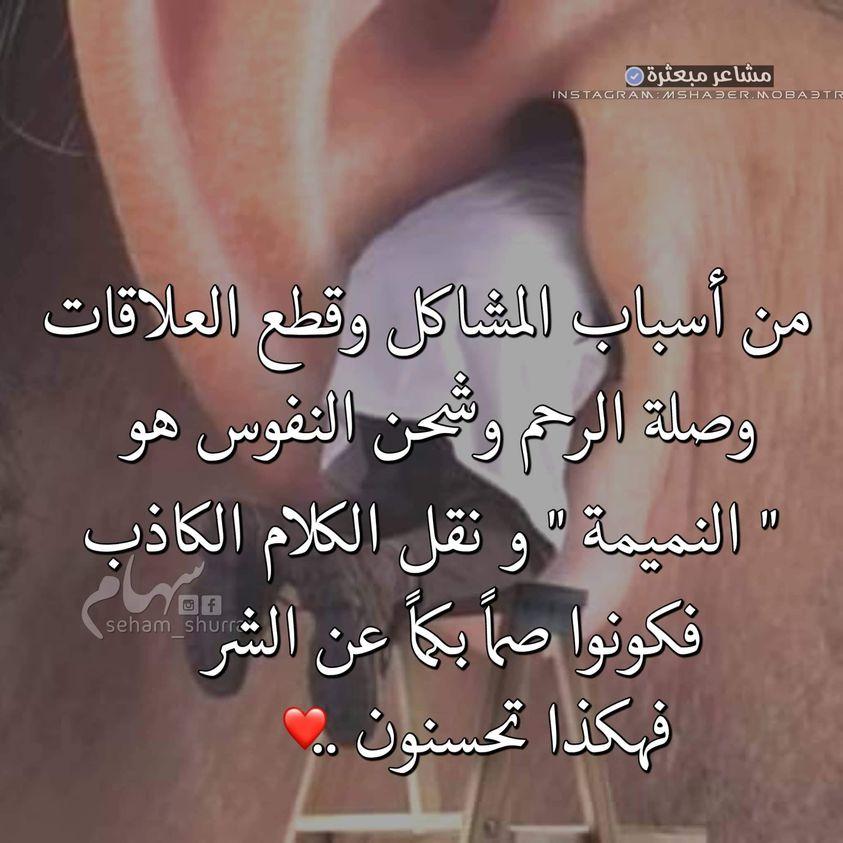 ���� ���� ������ �� ���� ������