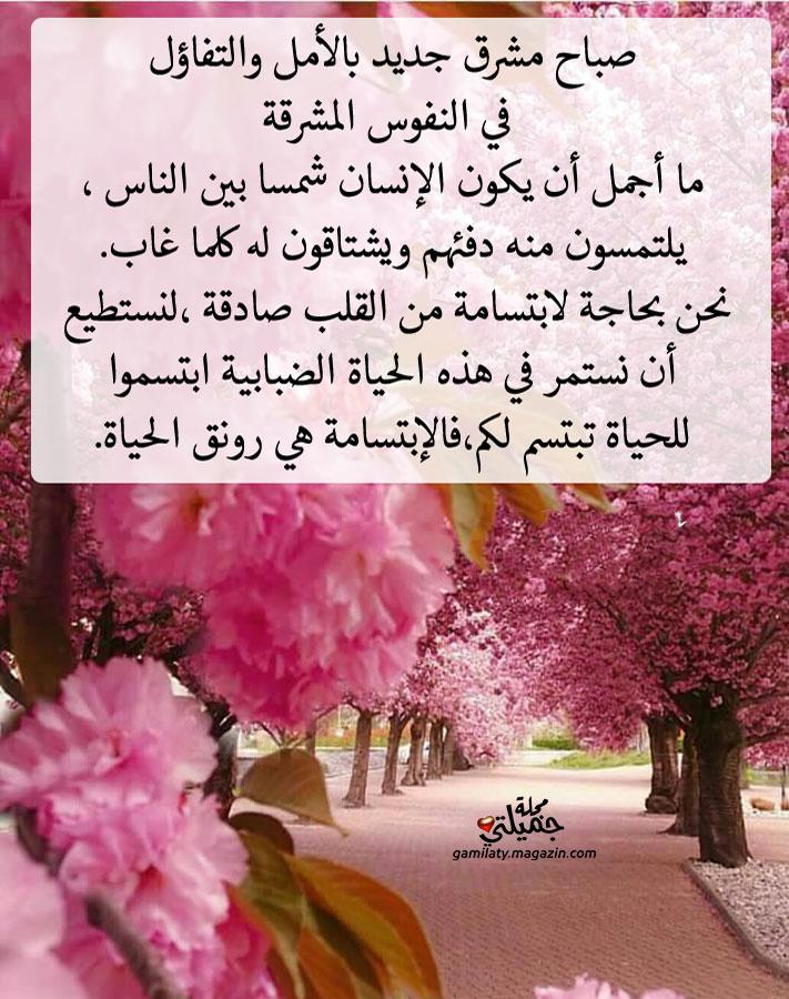 ���� ���� ������ �� ���� ������