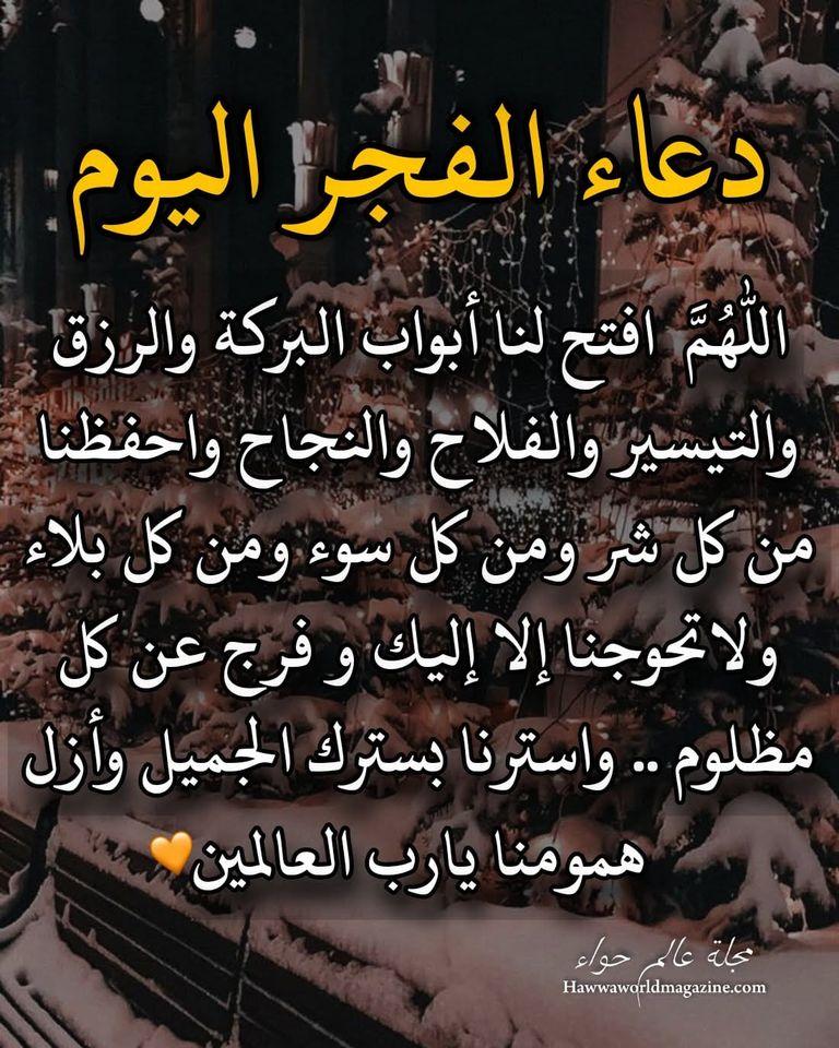 ���� ���� ������ �� ���� ������