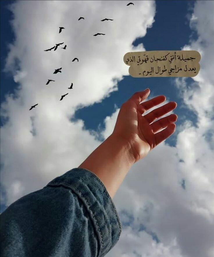 ���� ���� ������ �� ���� ������