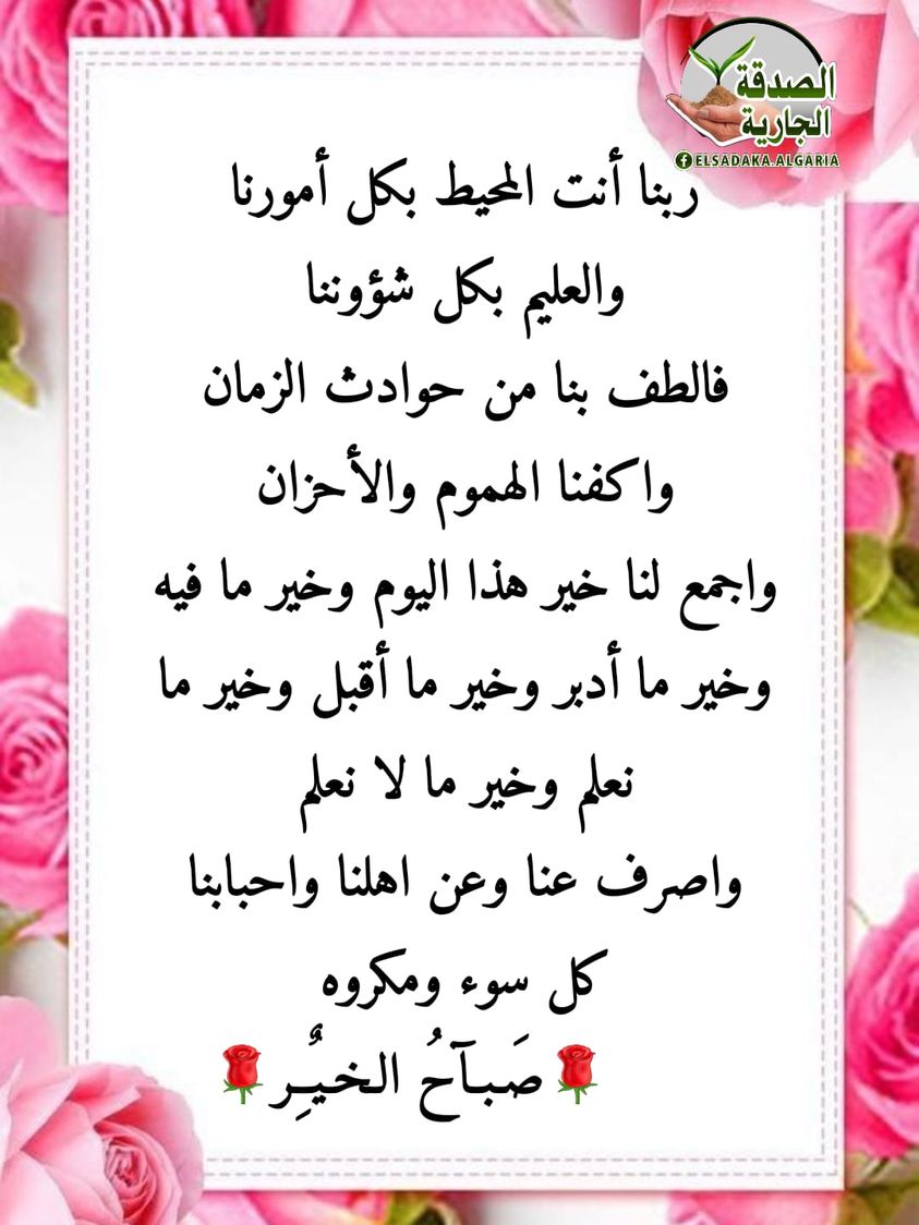 ���� ���� ������ �� ���� ������