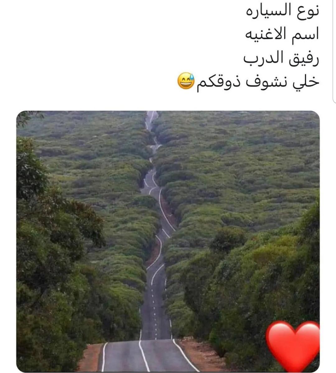 ������ ���� ������ �� ���� ������