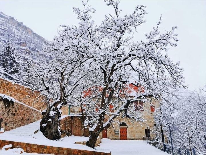 ���� ���� ������ �� ���� ������