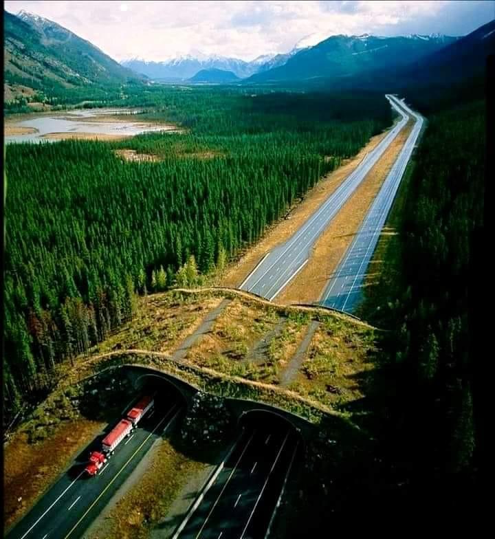 ���� ���� ������ �� ���� ������