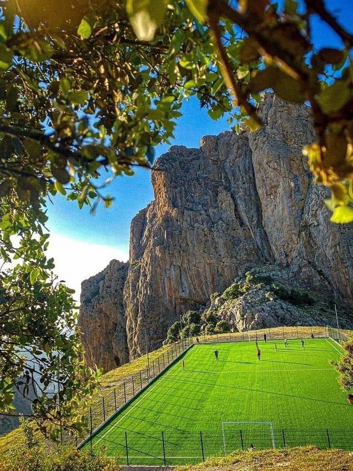 ���� ���� ������ �� ���� ������