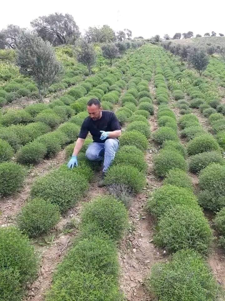 ���� ���� ������ �� ���� ������