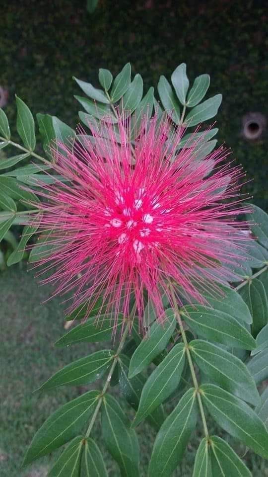 ���� ���� ������ �� ���� ������