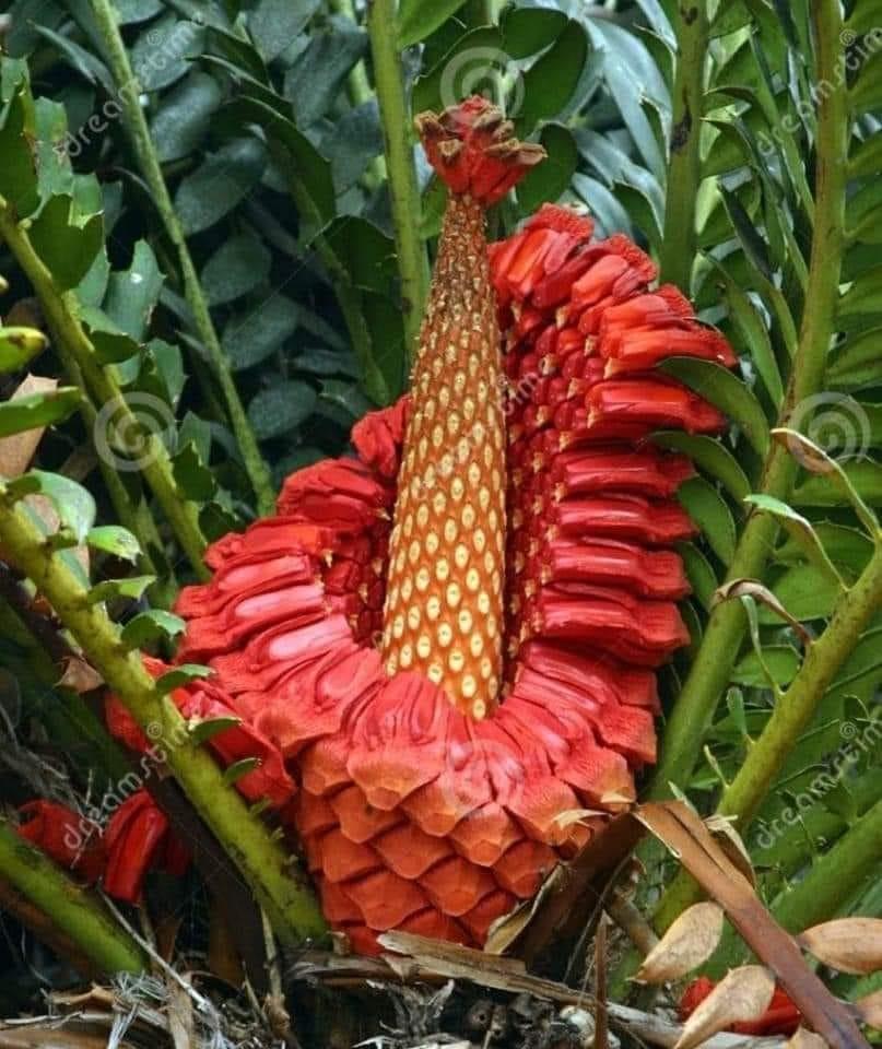 ���� ���� ������ �� ���� ������