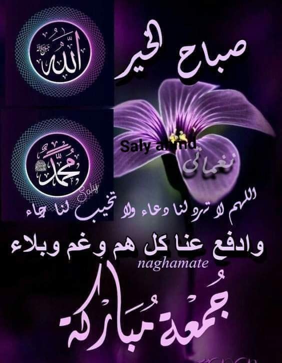 ���� ���� ������ �� ���� ������