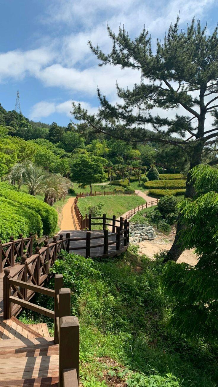 ���� ���� ������ �� ���� ������