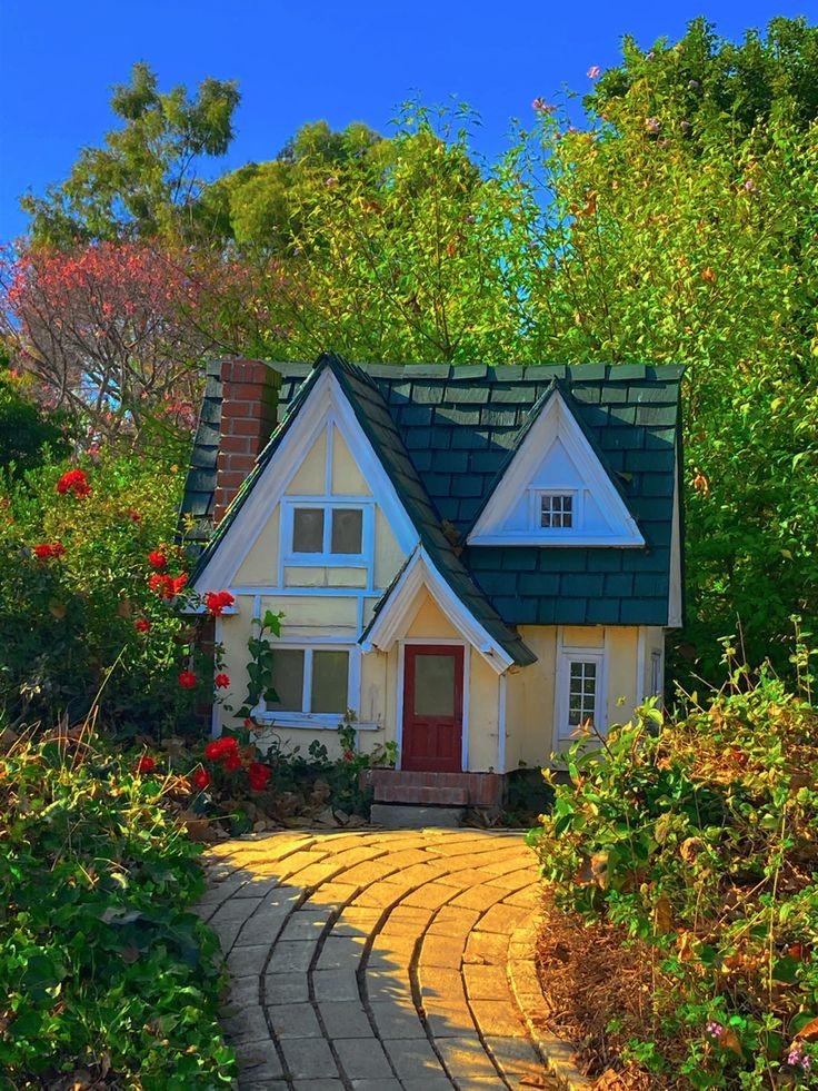 ���� ���� ������ �� ���� ������