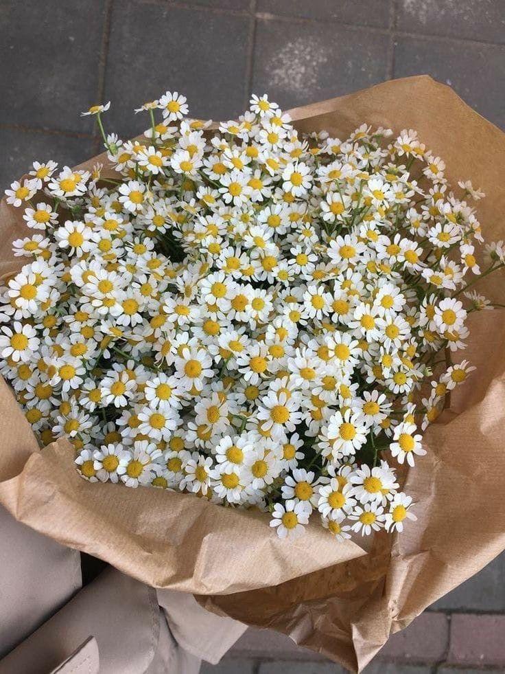 ���� ���� ������ �� ���� ������