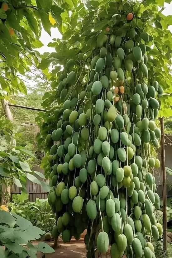 ���� ���� ������ �� ���� ������