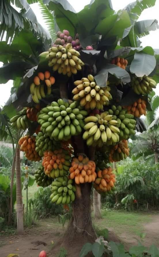 ���� ���� ������ �� ���� ������