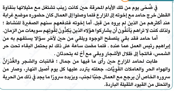 صورة القطعة التاسعة