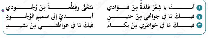 صورة القطعة التاسعة