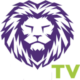 Lion IPTV Logo