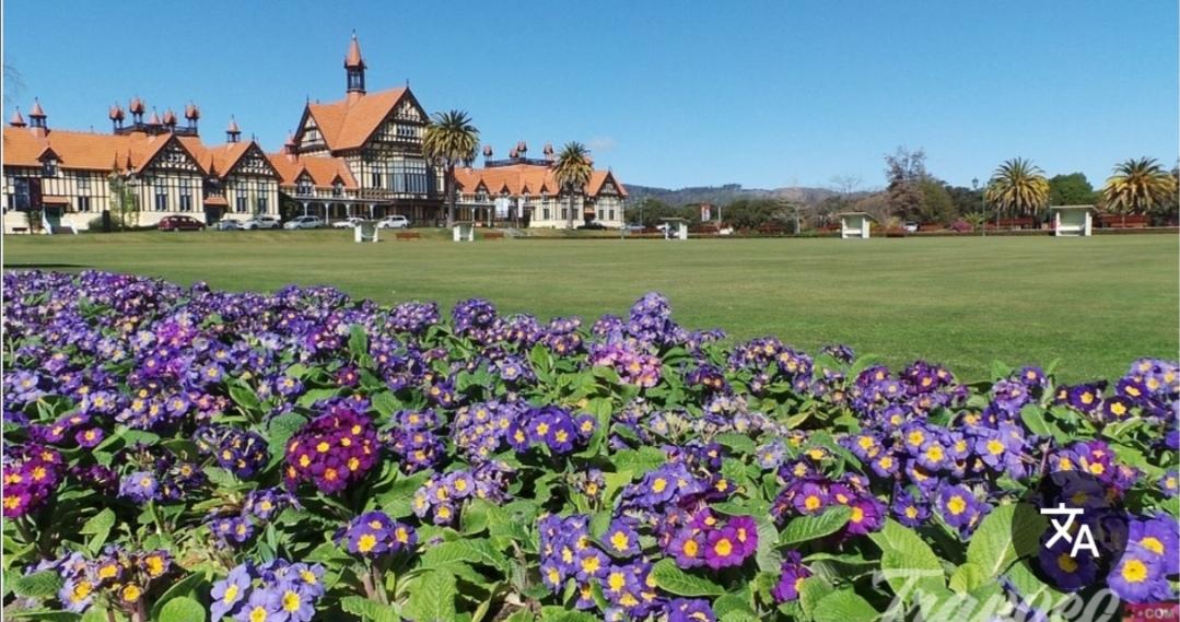 نقره لعرض الصورة في صفحة مستقلة