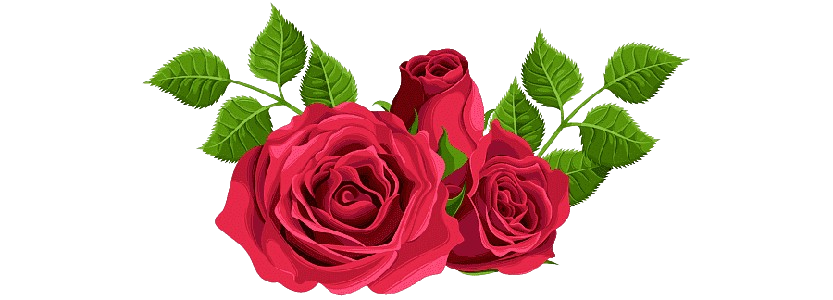 ����� ������ ����� ����� �����