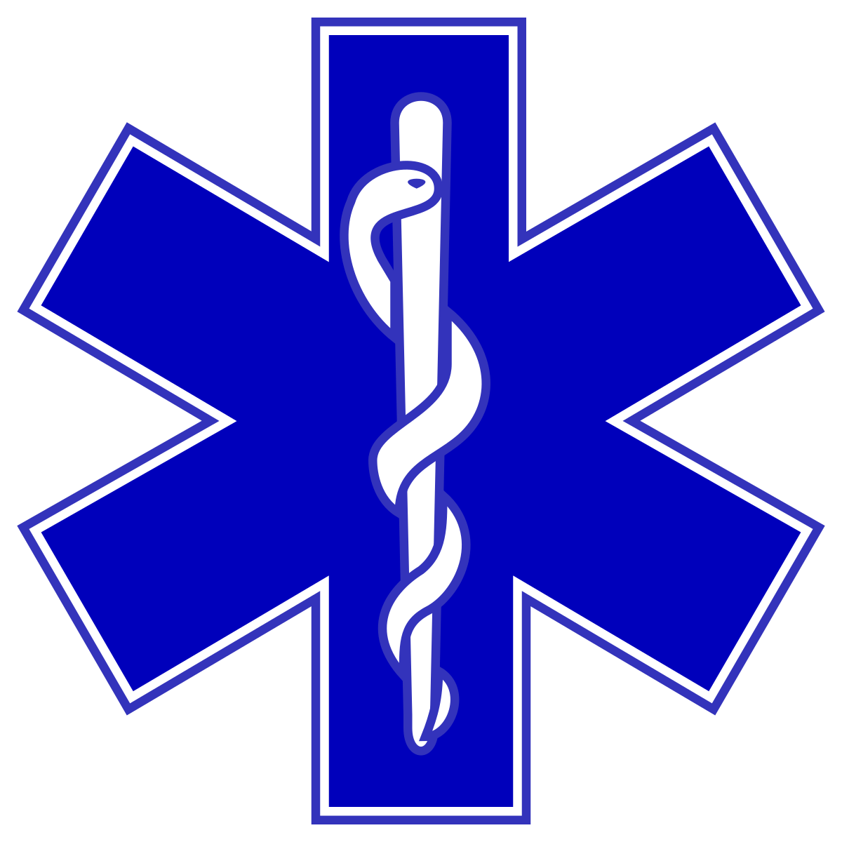 EMS logo