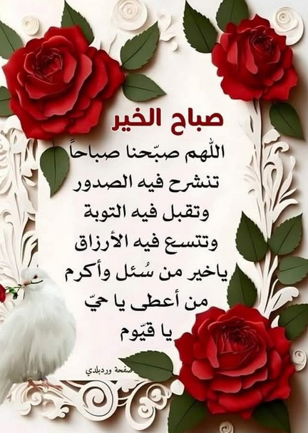 ���� ���� ������ �� ���� ������