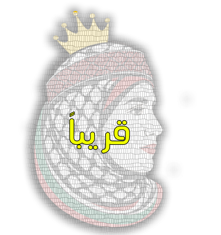 قناة الملكة الفلسطينية