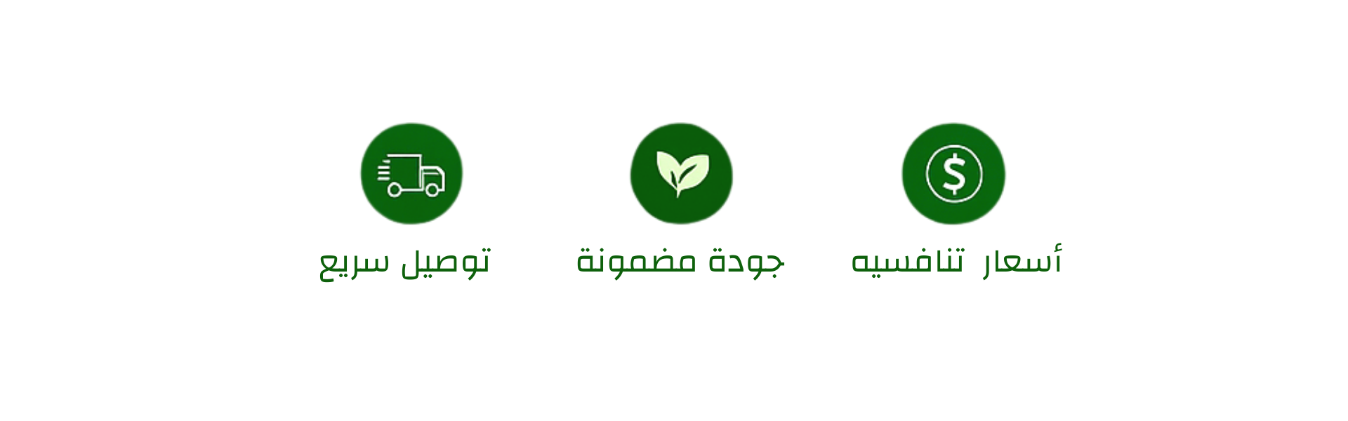 صورة تمهيدية