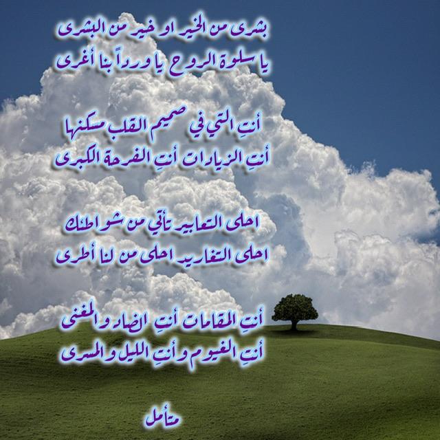 ����� ����� ����� �������� ����