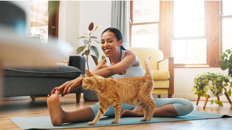 Free Cat Training Course