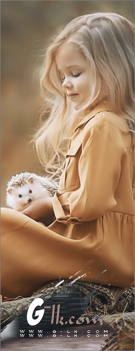 ʡ    