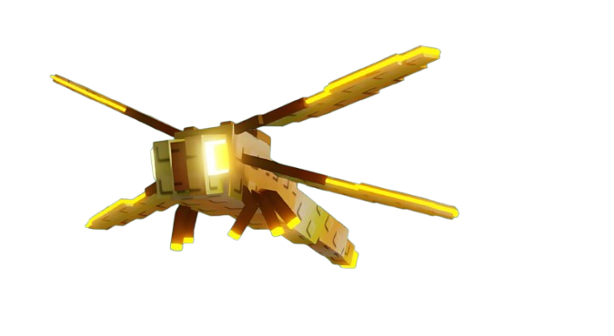 Item 5