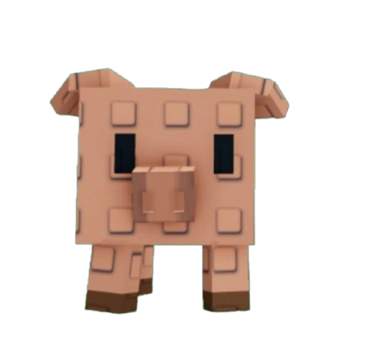 Item 8