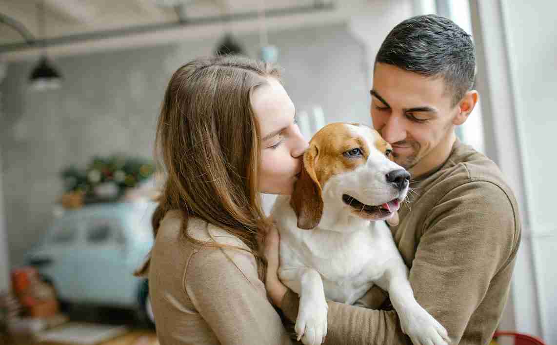 Free Dog Training Guides Download Free Dog Training Courses and E-books